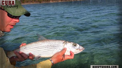 Fishing Cuba Photos