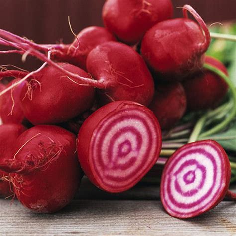 Beetroot Rainbow Mix 5 Varieties Seeds - VIRIDIS HORTUS