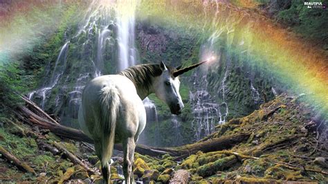 Great Rainbows, unicorn, waterfall - Beautiful views wallpapers: 1920x1080