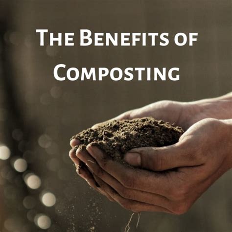 The Benefits of Composting (and How to Actually Make Compost) - Dengarden