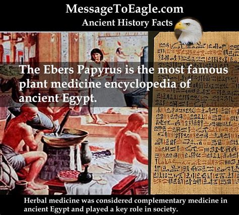 The Ebers Papyrus - Most Famous Plant Medicine 'Encyclopedia' Of ...