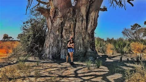 Prince Harry and Meghan Markle Share 15+ Never-Before-Seen Photos of Their Third Date in Botswana