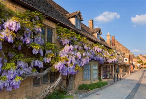 Where to live in the Cotswolds: A guide to choosing the perfect spot - Country Life