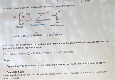 Solved 1. Malate dehydrogenase catalyzes the following | Chegg.com