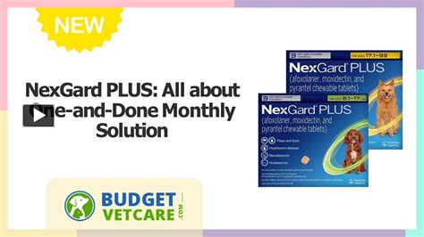 PPT – NexGard PLUS: All about One-and-Done Monthly Solution PowerPoint presentation | free to ...