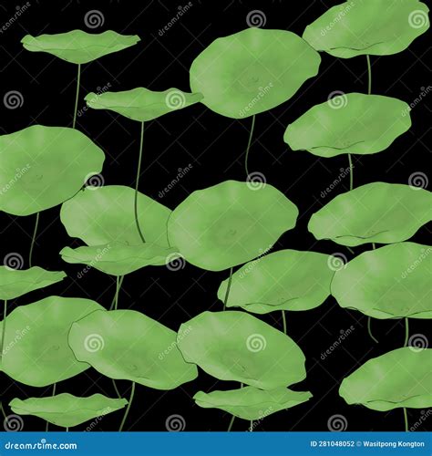 Lotus leaf drawing stock photo. Image of color, flora - 281048052