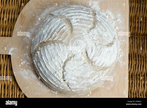 Rye bread floured with Manitoba flour and cut, recipe is available Stock Photo - Alamy