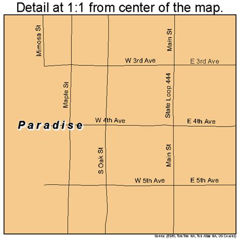 Paradise Texas Street Map 4855056