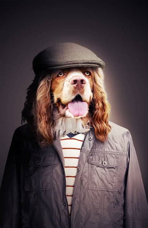 How to Create a Human Portrait of a Dog in Photoshop - Photoshop Tutorials