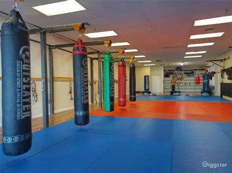 FULLY EQUIPED MARTIAL ARTS GYM FOR RENT | Rent this location on Giggster