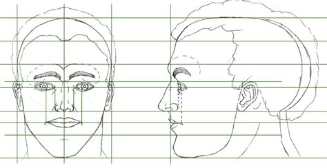 Learn to draw a portrait / face in the front view