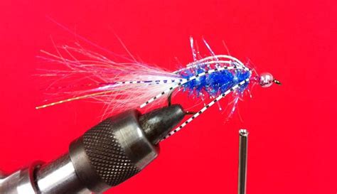 1000+ images about Coho fly patterns on Pinterest | Fly tying, Shrimp ...