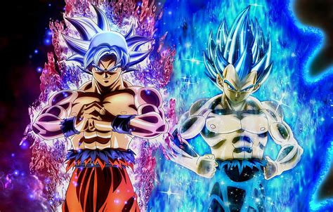 Goku and Vegeta in their final forms, ultra instinct blue evolved HD wallpaper | Pxfuel