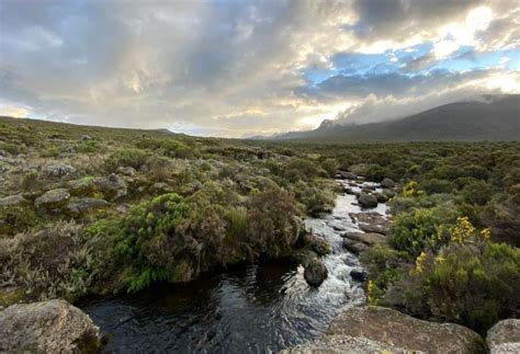 Mount Kilimanjaro's five surprising climate zones