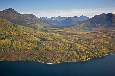 Largest National Parks in the United States - WorldAtlas