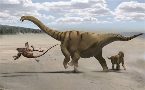 How Dinosaurs Grew the World's Longest Necks | Sauropods | Live Science