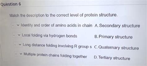 Solved Proteins have complex structures because They are | Chegg.com