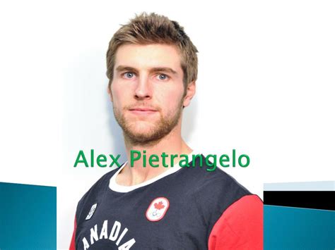 PPT - Alex Pietrangelo PowerPoint Presentation, free download - ID:7064827