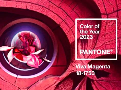 Pantone Color Of The Year 2023 Wallpapers - Wallpaper Cave