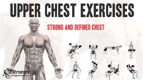 Upper Chest Workout At Home With Dumbbells | EOUA Blog