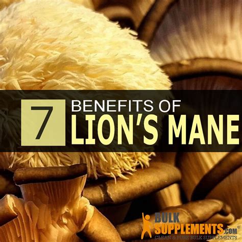 7 Benefits of Lion's Mane Mushroom: Side Effects and Dosage | Lions mane mushroom, Lion mane, Mane