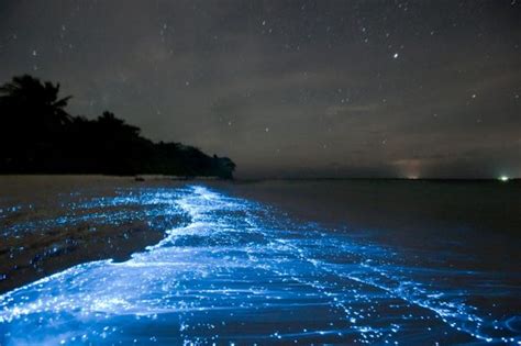 Sea of Stars – Vaadhoo, Maldives - Atlas Obscura