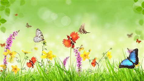 Spring, flowers, grass, butterfly, green background, creative design wallpaper | creative and ...