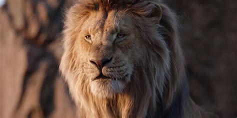 Lion King Prequel Director Teases Mufasa's Origin Story