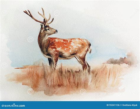 Deer in the Field Watercolor Illustration Stock Illustration - Illustration of animal, brown ...