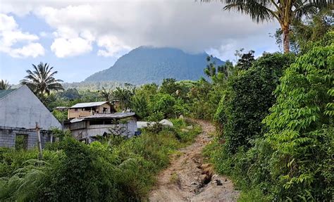 Philippine tribe boosts livelihoods and conservation with civet poop coffee