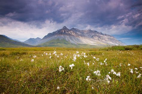 The Brooks Range in Alaska's Arctic Region | Travel Alaska