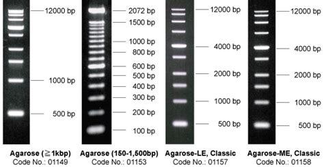 Choosing The Right Agarose Percentage For Gel, 45% OFF