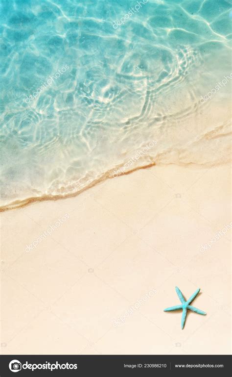 Starfish Summer Beach Summer Background Tropical Sand Beach Stock Photo ...