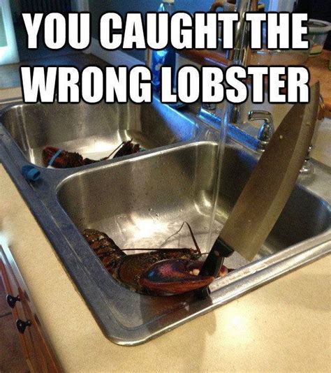 Lobster Funny Quotes. QuotesGram