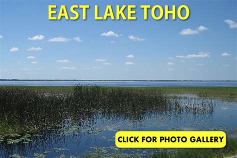 East Lake Toho Pictures | Florida East Lake Tohopekaliga in St Cloud Fl