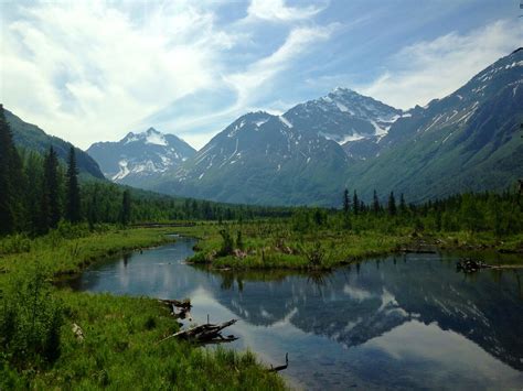 Eagle Gallery: alaska usa eagle river ak