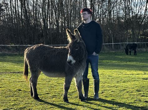 Leeds and York Partnership NHS Foundation Trust -Leeds man says time with donkeys helped ...