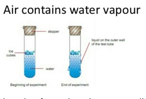 Air contain a water vapour diagram - Brainly.in