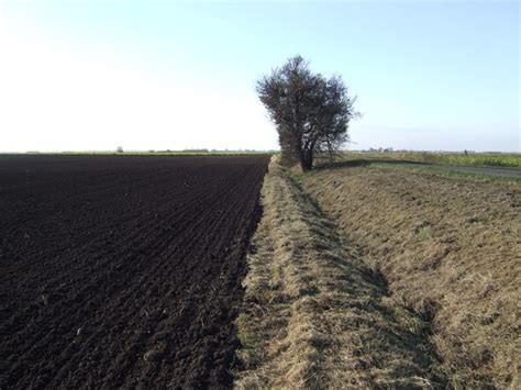 File:Rich soil of the fens. - geograph.org.uk - 599886.jpg - Wikimedia Commons