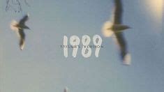 two birds flying in the sky with words written below them that read, 1989 taylor's version