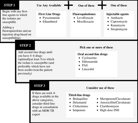 Building a treatment regimen for MDR-TB. | Download Scientific Diagram