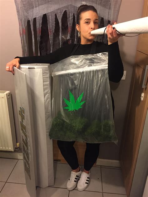 Share more than 138 bag of weed halloween costume super hot - kidsdream.edu.vn