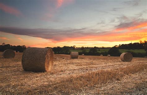 Sunset Over Field Of Hay Bales Photograph by Verity E. Milligan