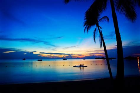 The Caribbean Eye: The Magic of a Negril Sunset