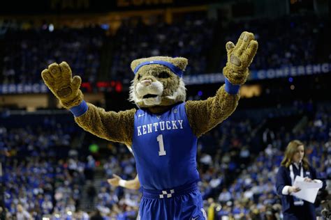 Ranking the NCAA Tournament team mascots, 68-1 - WTOP News