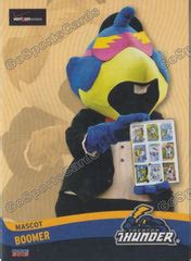 2015 Trenton Thunder Boomer Mascot – Go Sports Cards