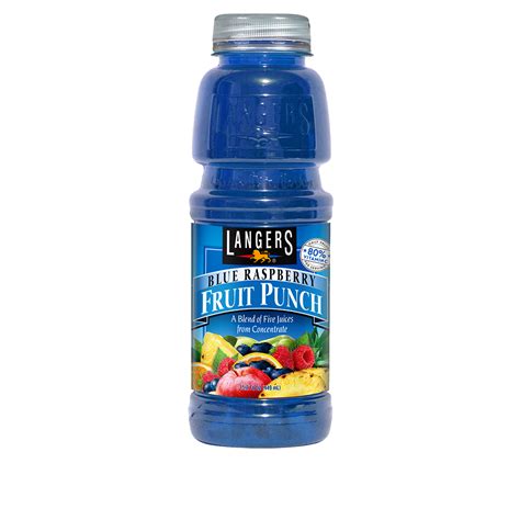 12pk 15.2oz Blue Raspberry Fruit Punch – Langer Juice Company