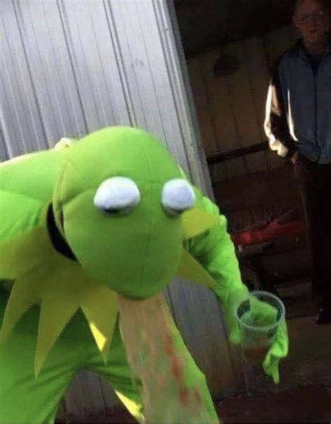 Cursed_Kermit : r/cursedimages