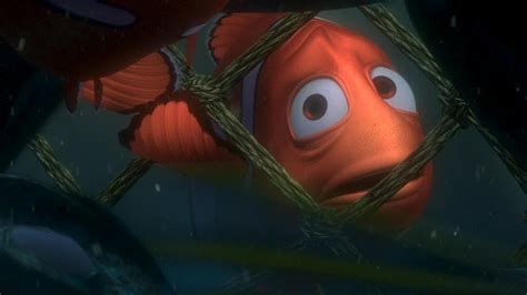 Finding Nemo - Finding Nemo Image (3569702) - Fanpop