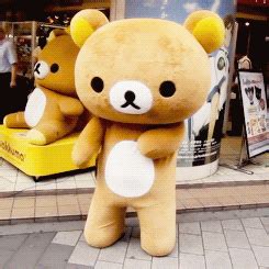 Rilakkuma GIFs - Find & Share on GIPHY